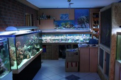 Killikus&reg; Fotographie